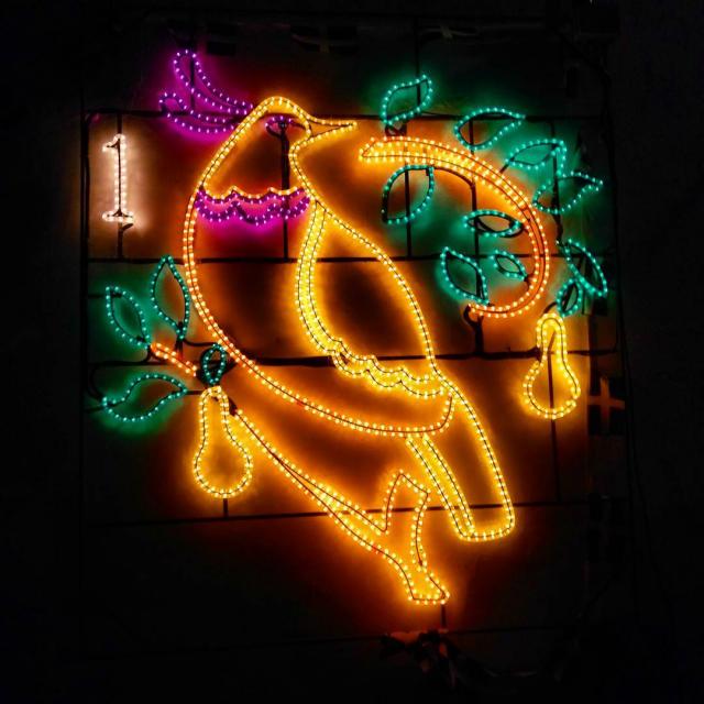 Georgia Slatter on Instagram: “And a partridge in a pear tree #12daysofchristmas #christmaslights #angarrack #cornwall #winterwonderland”